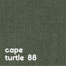 cape-turtle-88