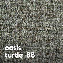 oasis-turtle-88