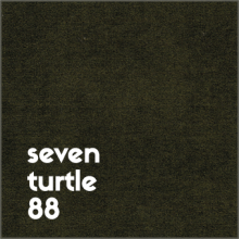 seven-turtle