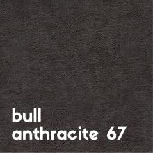 bull-anthracite-67