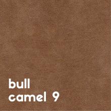 bull-camel-9