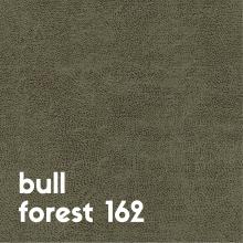 bull-forest-162