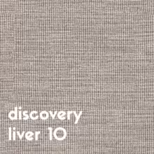 discovery liver 10