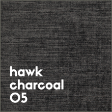 hawk charcoal 05