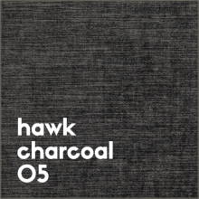 hawk-charcoal-05