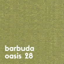 barbuda-oasis-28