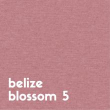 belize-blossom-5