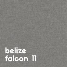 belize-falcon-11