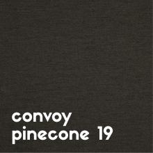 convoy-pinecone-19