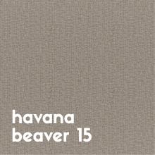 havana-beaver-15