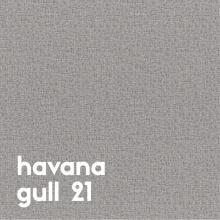 havana-gull-21