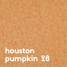 houston-pumpkin-28
