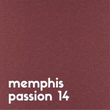 memphis-passion-14