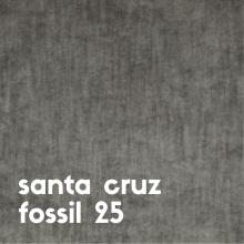 santa-cruz-fossil-25