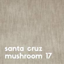 santa-cruz-mushroom-17