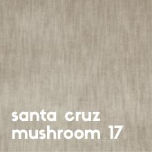santa-cruz-mushroom-17 santa-cruz-mushroom-17