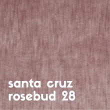 santa-cruz-rosebud-28
