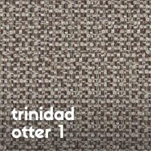 trinidad-otter-1