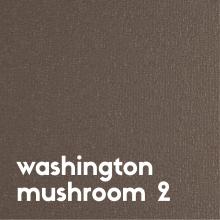 washington-mushroom-2