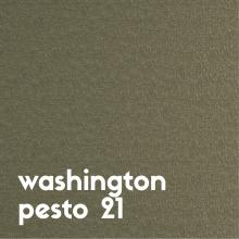 washington-pesto-21